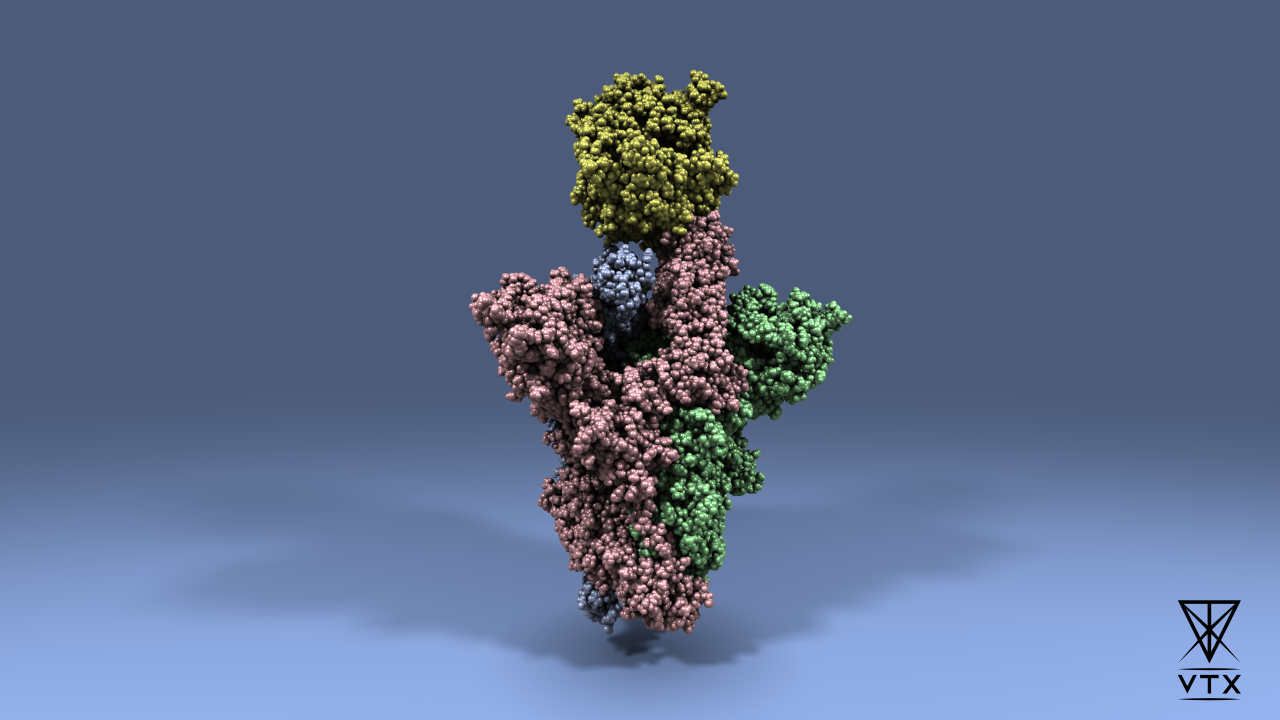 © VTX Représentation de l’interaction entre la protéine Spike et le récepteur ACE-2 (en jaune) visualisée avec VTX. Données issues de simulations HPC effectuées dans le cadre du projet PRACE COVID-HP.