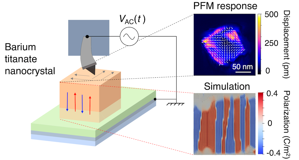 Des capteurs optiques en nanocristaux de titanate de baryum à faible consommation d'énergie