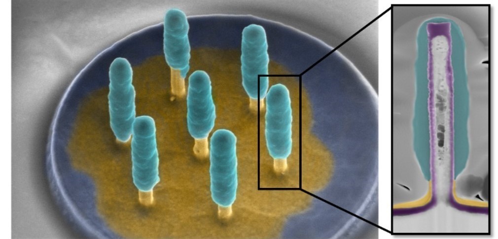 Des nanoélectrodes 3D pour mieux comprendre l'activité électrique des neurones