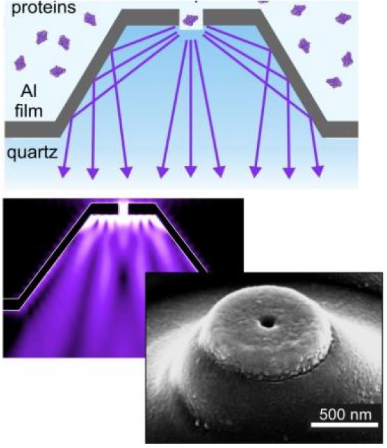 Nanoouvertures métalliques par nanoimpression pour améliorer la détection de la fluorescence d'une seule molécule