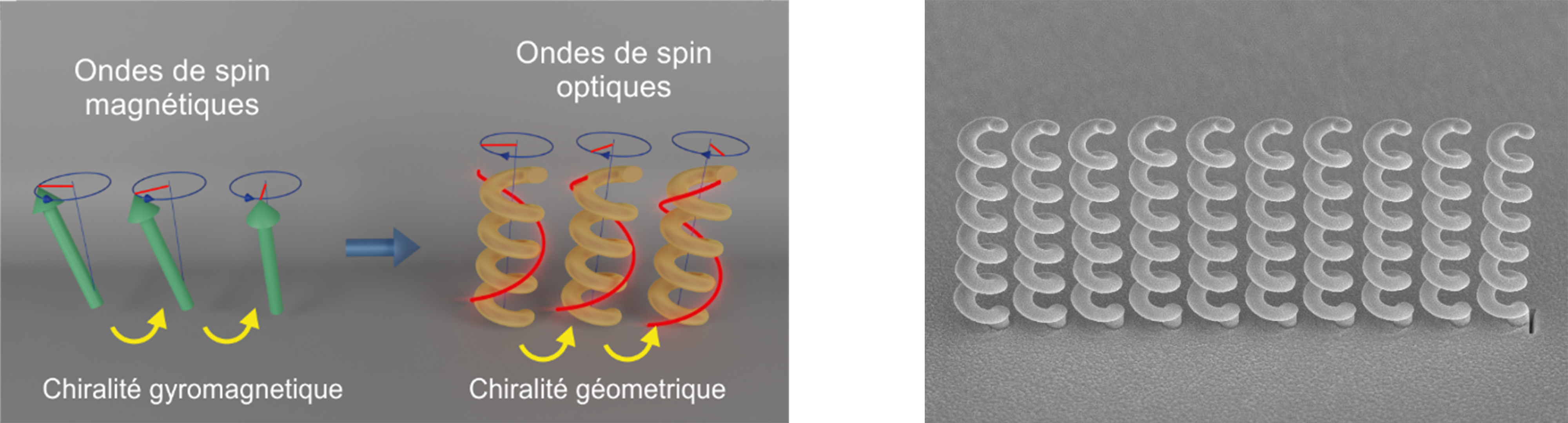 Les ondes de spin optiques, un nouvel état de la lumière